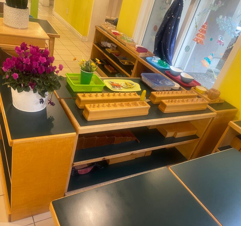 WhatsApp Image 2026-01-08 at 1.30.07 AM