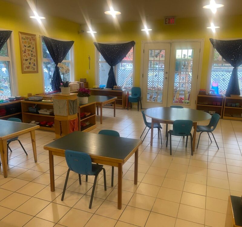 WhatsApp Image 2026-01-08 at 1.30.08 AM (6)