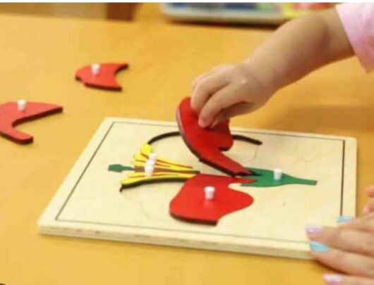 WhatsApp Image 2026-01-08 at 1.53.41 AM