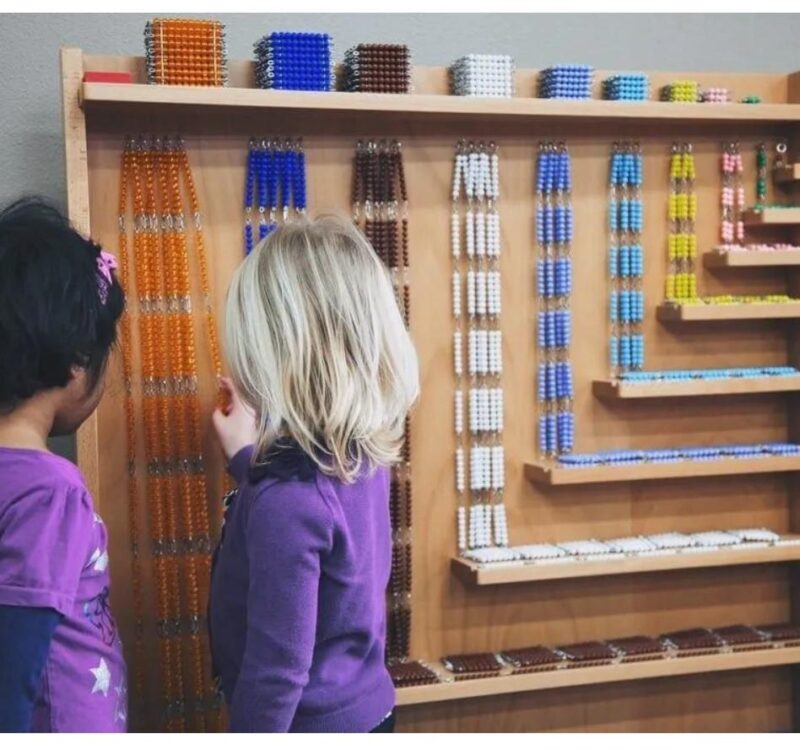 WhatsApp Image 2026-01-08 at 1.55.57 AM