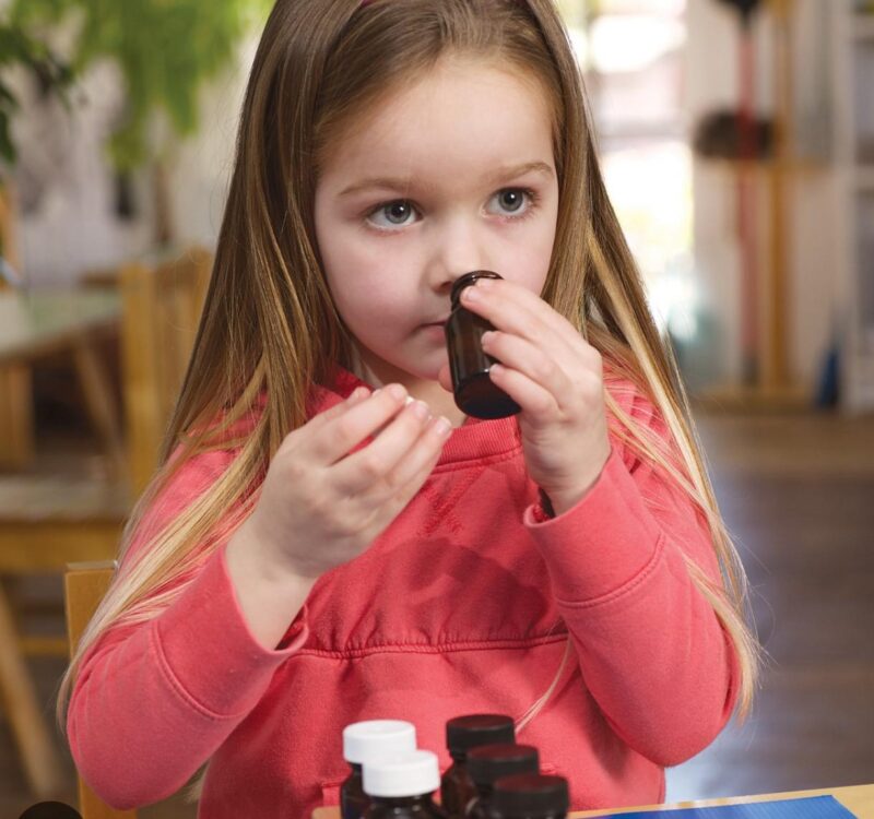 WhatsApp Image 2026-01-08 at 2.00.51 AM