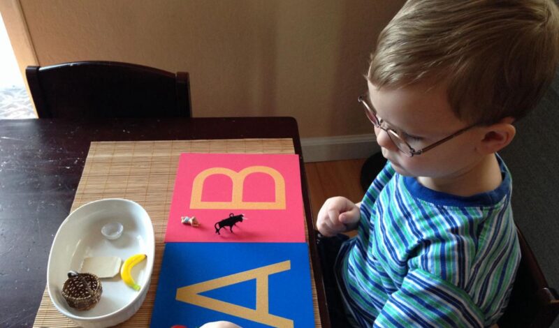 WhatsApp Image 2026-01-08 at 2.03.59 AM (1)