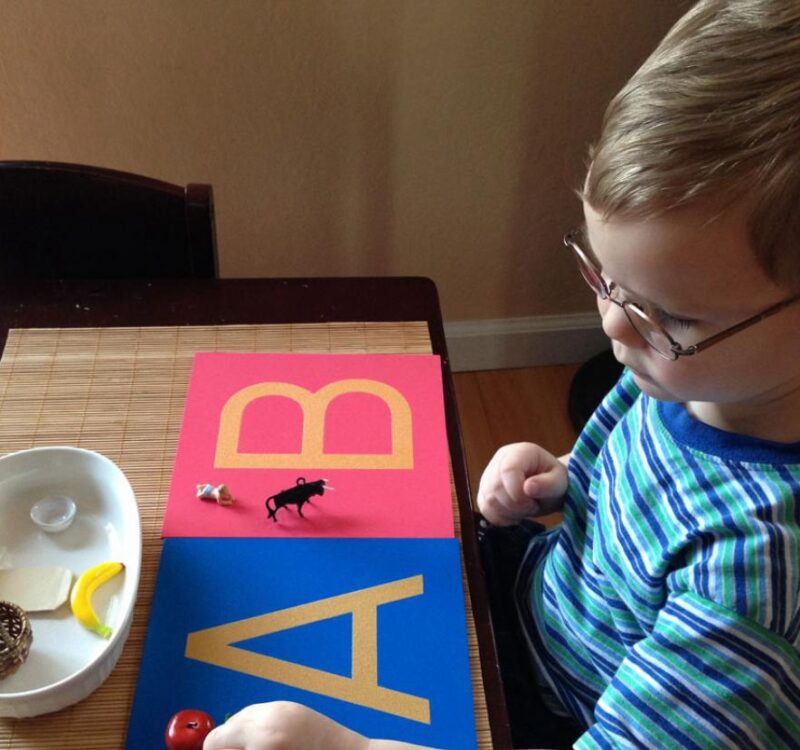 WhatsApp Image 2026-01-08 at 2.03.59 AM (1)