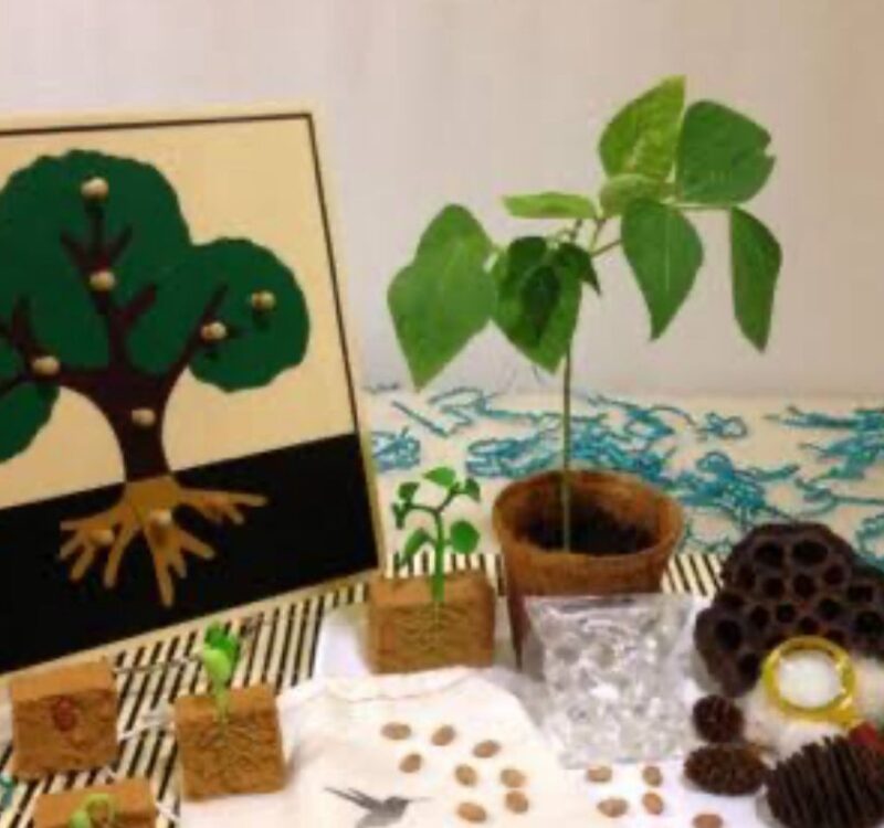 WhatsApp Image 2026-01-15 at 11.42.23 PM (1)