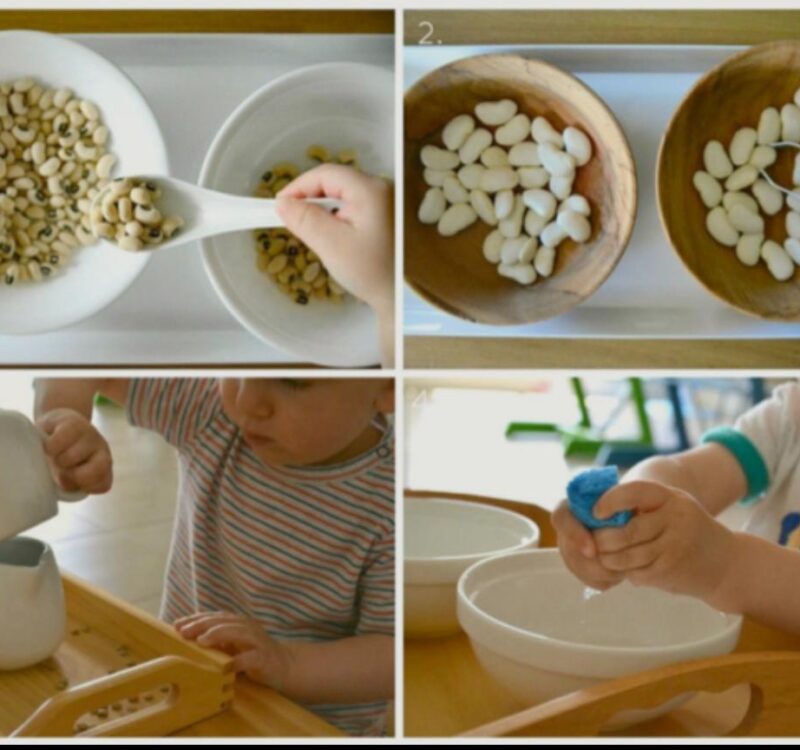 WhatsApp Image 2026-01-15 at 11.50.31 PM